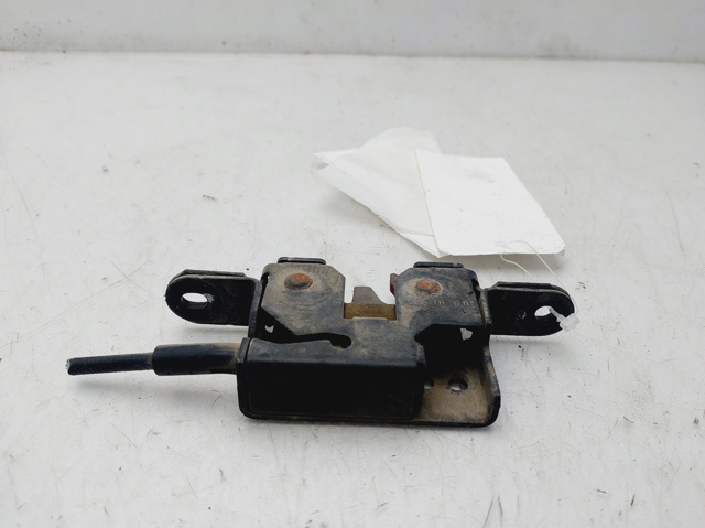 656010010R Renault (RVI)