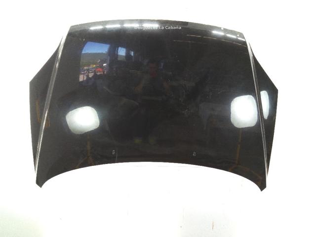 HYUNDAI 664001F010 Capó  comprar en Murcia