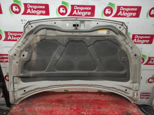 Capot 664001F010 HYUNDAI