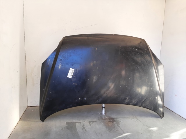 Comprar Capot Sportage II JE