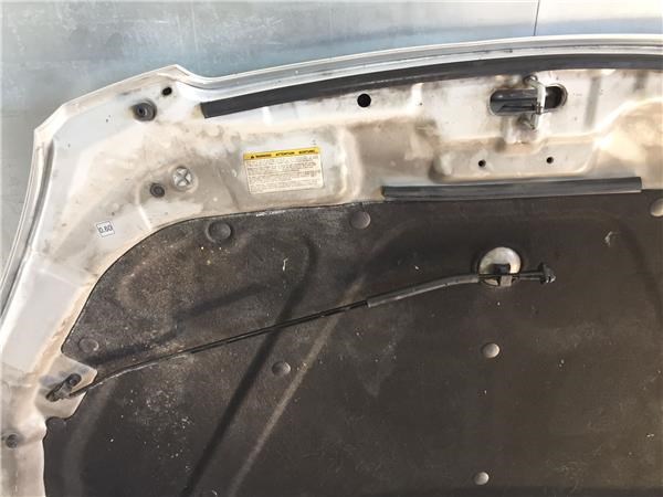 HYUNDAI 664001H000 Capó  comprar en Murcia