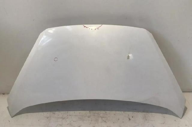 Comprar Capot Picanto II TA