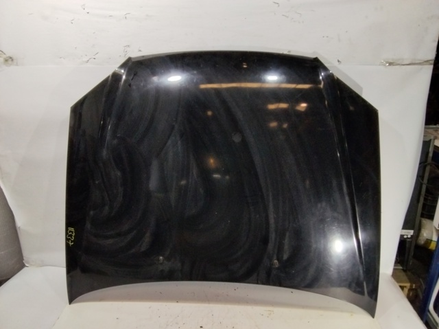 Capot 6640025520 HYUNDAI