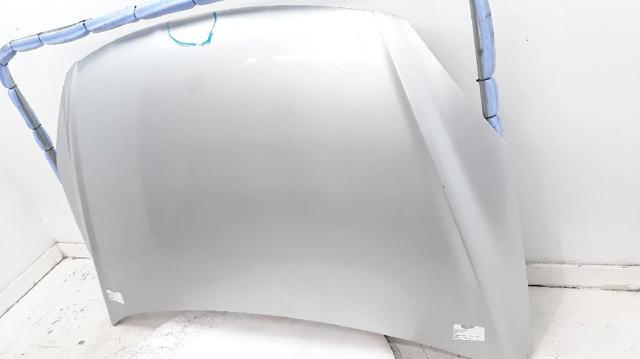 664002L010 HYUNDAI Capó comprar Alcalá