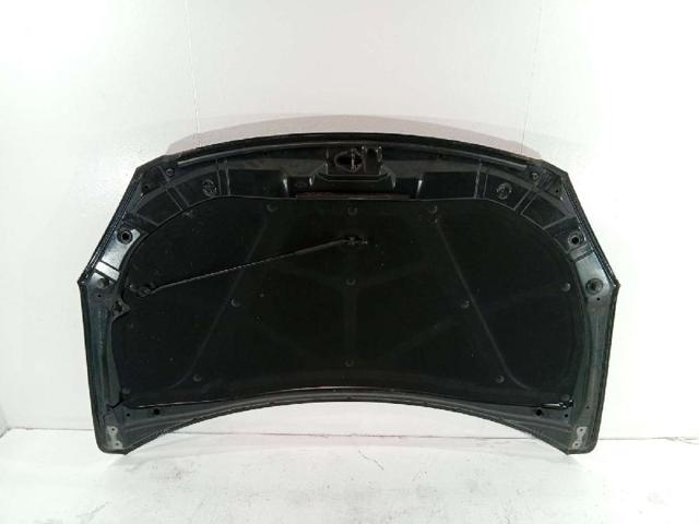 HYUNDAI 664002L010 Capó  comprar en Albacete