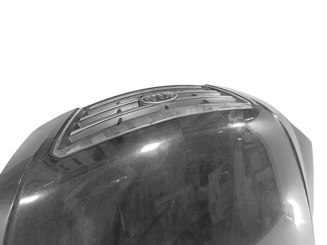 664003E310 HYUNDAI Capó comprar Bilbao