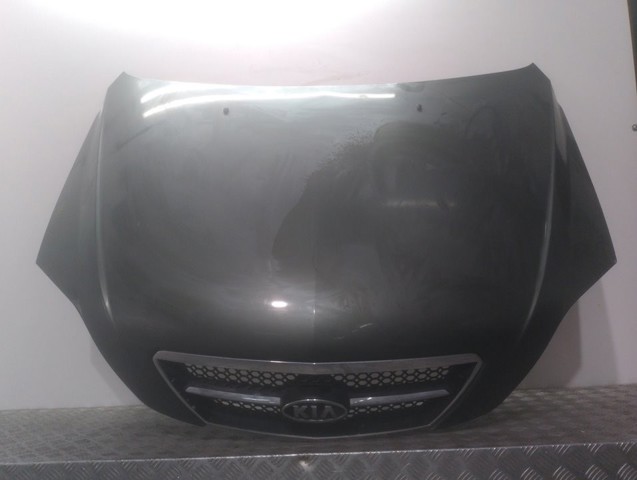 HYUNDAI 664003E310 Capó  en stock Terrassa