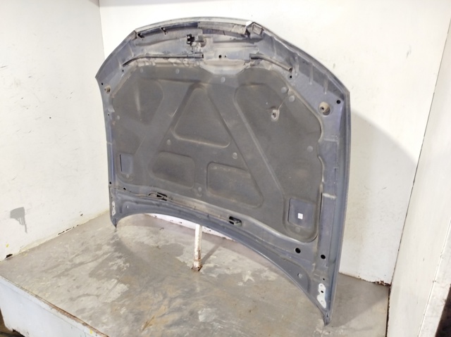 Capó del motor Hyundai Sonata 5 NF