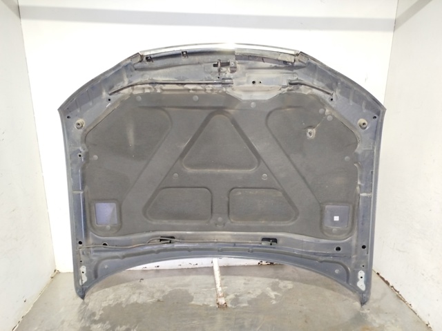 Capó del motor Hyundai Sonata 5 NF