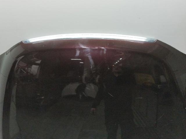 Capó del motor Hyundai Sonata 5 NF