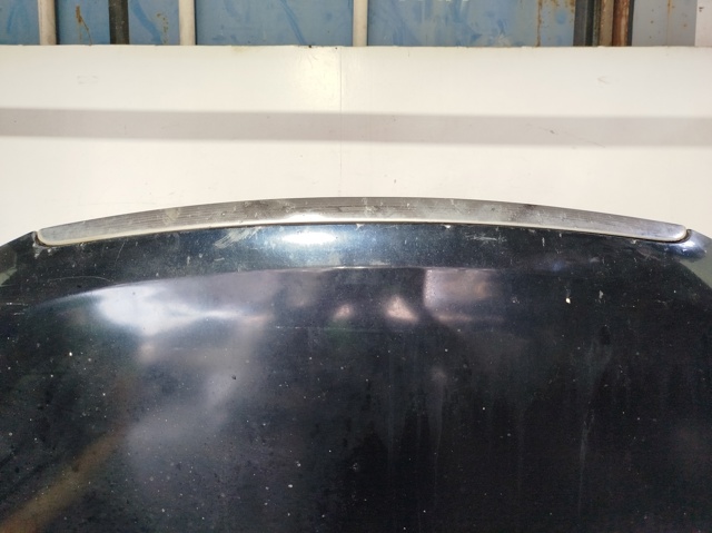 Capó del motor Hyundai Sonata 5 NF