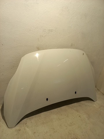 HYUNDAI 664003W000 Capó  comprar en Albacete