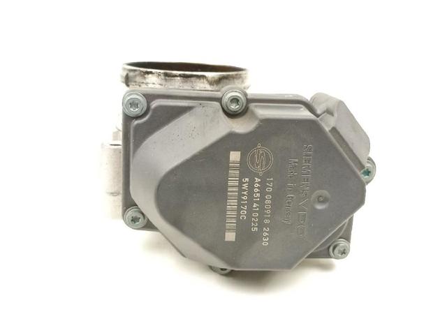 6651410225 Cuerpo de mariposa  en stock Granada