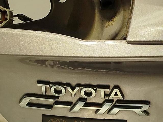 Puerta Trasera de maletero (3/5a Puerta Trasera) Toyota C-HR X10