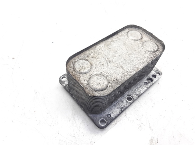 6790972560 Renault (RVI)