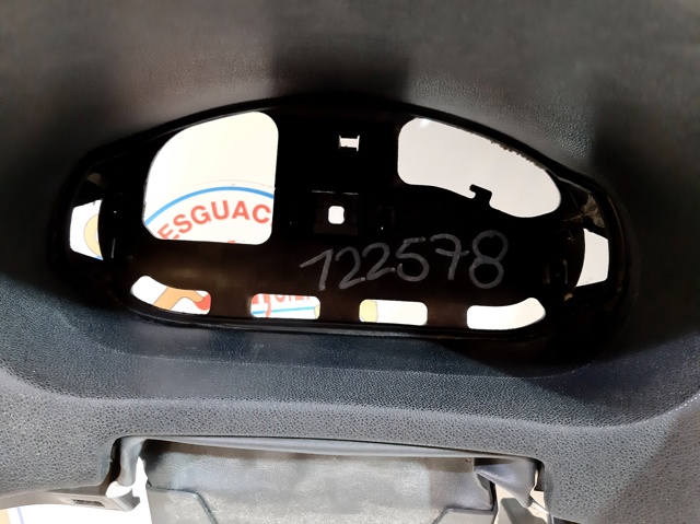 681000022R Renault (RVI)