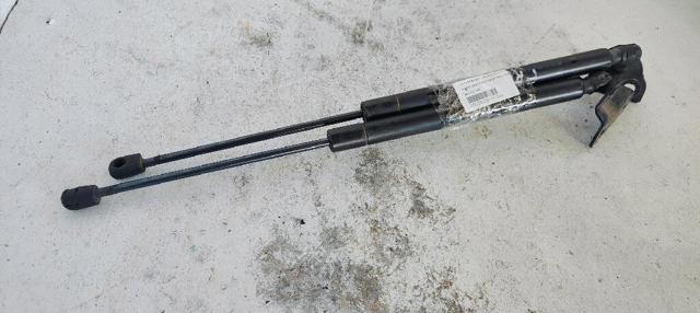 Muelle neumatico maletero para Citroen C3 II (2R, 2C)