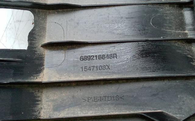 689216648R Renault (RVI)