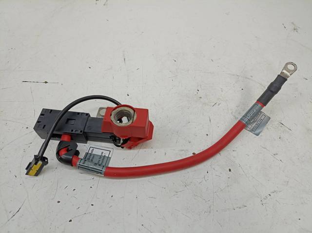 Cable Terminal Positiovo (BATERIA) 6929707 BMW