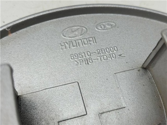 HYUNDAI 695102B000 Tapa exterior de la gasolina  en stock Salamanca