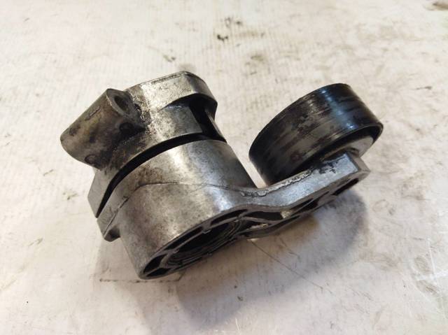 FORD 6C1Q6A228AB Tensor de correa poli V comprar Pamplona