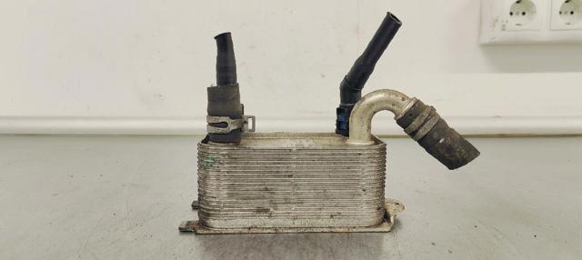 6G917A095AD FORD Radiador de aceite  comprar en Jaén
