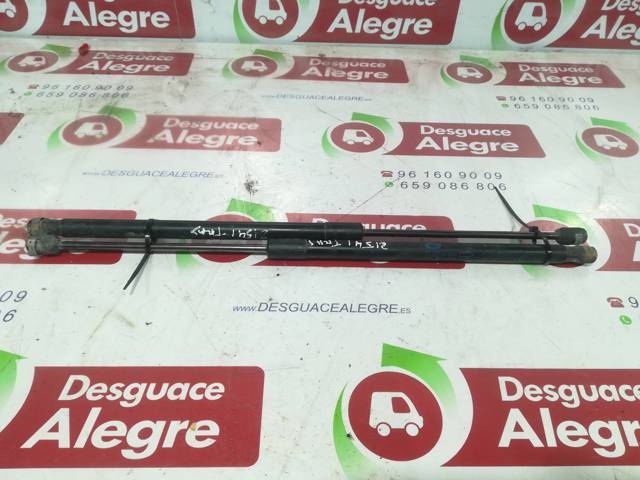 LAND ROVER 6H52406A10AG Amortiguador de la tapa del maletero  comprar en Murcia