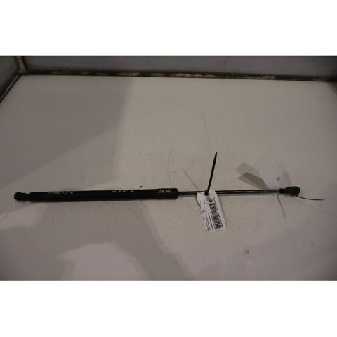 6M21R406A10CD FORD Amortiguador de la tapa del maletero  comprar en Lleida