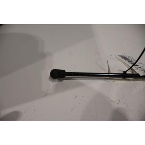 6M21R406A10CD FORD Amortiguador de la tapa del maletero  comprar en Oviedo