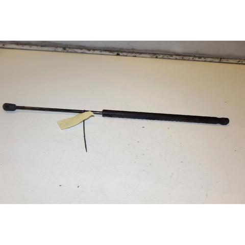 6N11N406A10AA FORD Amortiguador de la tapa del maletero  comprar en Oviedo
