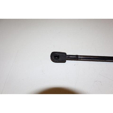 FORD 6N11N406A10AA Amortiguador de la tapa del maletero  comprar en Albacete