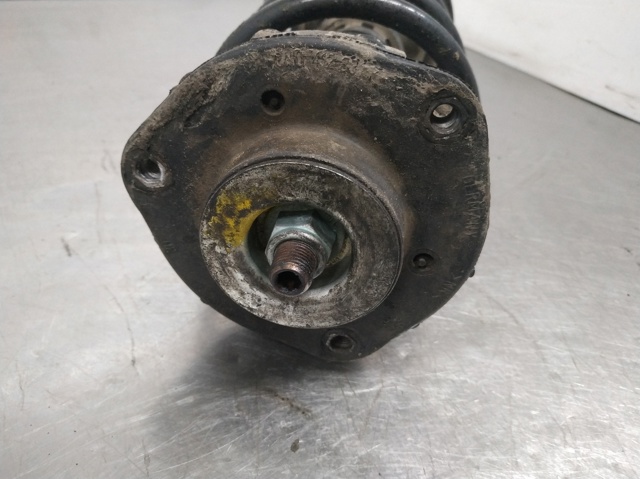 Comprar Amortiguador delantero Skoda Fabia I 6Y2 a bajo precio