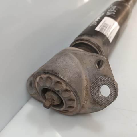 VAG 6Q0513025AR Amortiguador trasero comprar Tarragona