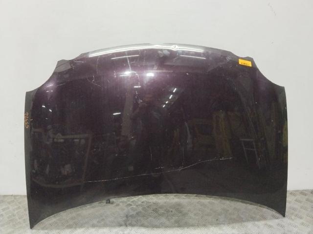 Capó delantero 6QE823031B VAG