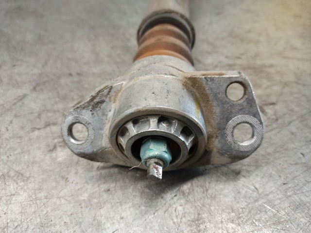 6R0513025 VAG Amortiguador trasero  disponible Ourense