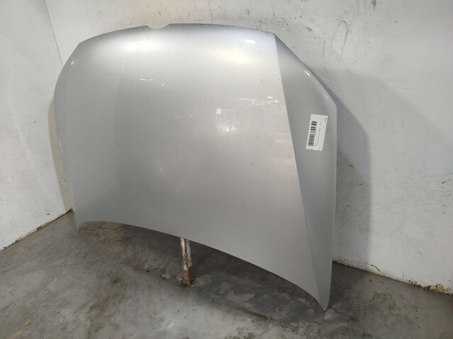 VAG 6R0823031G Capó comprar Pamplona