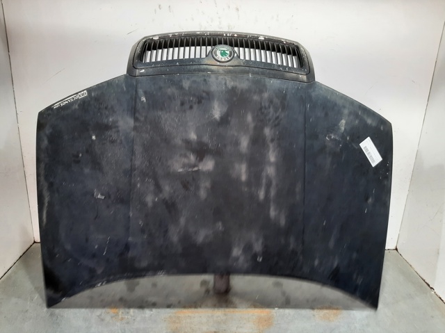 Capó para Skoda Fabia 6Y5