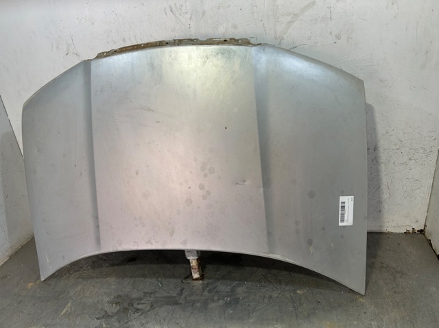 Capó del motor Skoda Fabia I desde 198,92 €