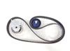 Correa dentada 71719648 FIAT