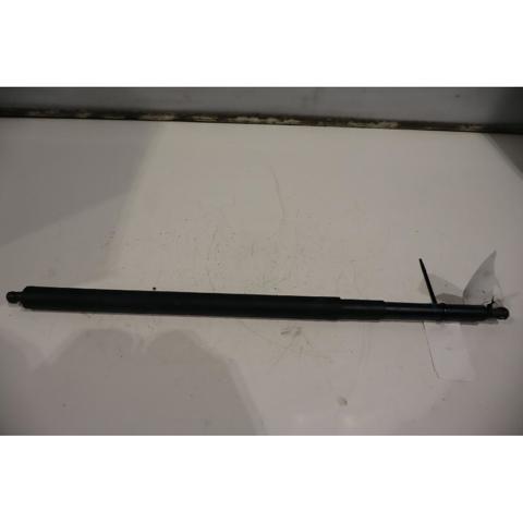 Muelle neumatico maletero 7178273 BMW