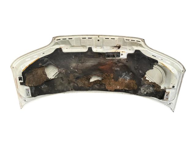 Capó para Ford Transit E