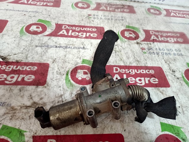 72294615 Válvula, AGR  disponible Utrera