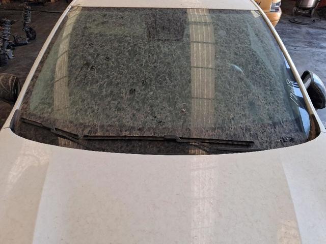 Comprar Parabrisas Renault Clio V B7 a bajo precio