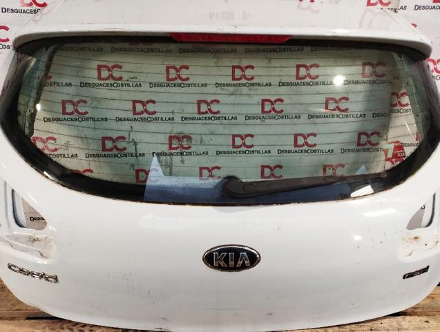 HYUNDAI 73700A2000 Puerta trasera del maletero (portón trasero)  comprar en Albacete