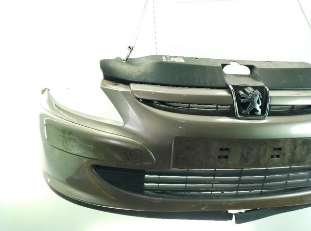 Parachoques delantero Peugeot 307 3B