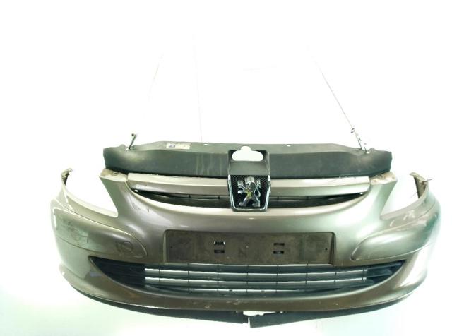 Parachoques delantero Peugeot 307 3B