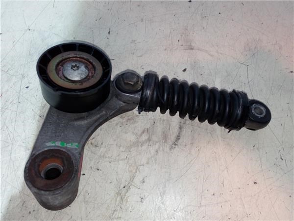 7700102395 Tensor de correa de accesorios  comprar en Pontevedra