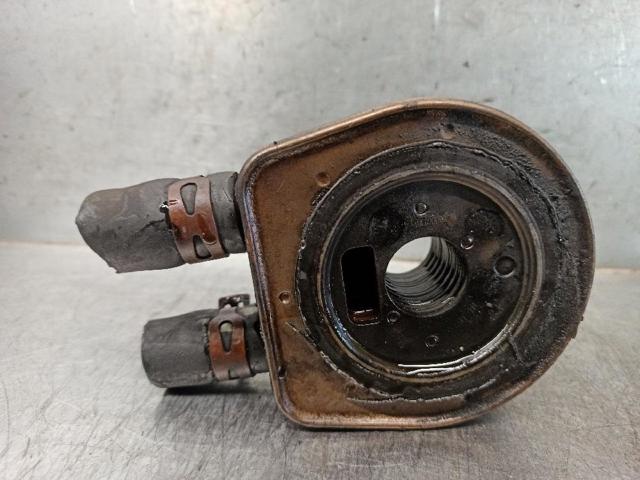 7700114039 RENAULT Radiador de aceite debajo del filtro  en stock Gandía