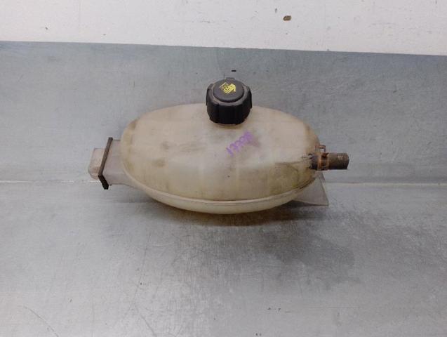 7700312900 Renault (RVI)