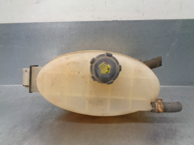 7700312900 Renault (RVI)